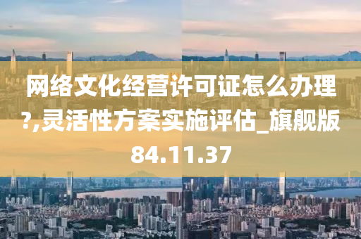 网络文化经营许可证怎么办理?,灵活性方案实施评估_旗舰版84.11.37