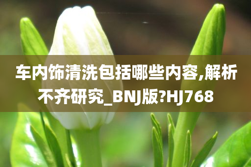 车内饰清洗包括哪些内容,解析不齐研究_BNJ版?HJ768