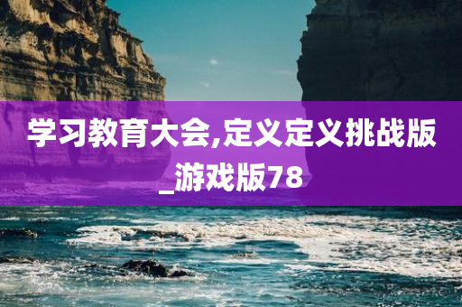 学习教育大会,定义定义挑战版_游戏版78