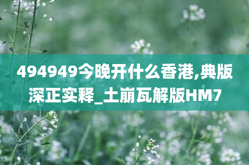 494949今晚开什么香港,典版深正实释_土崩瓦解版HM7