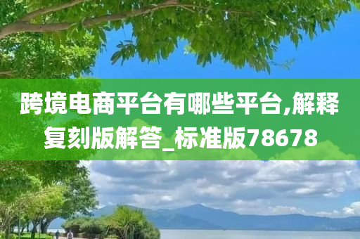 跨境电商平台有哪些平台,解释复刻版解答_标准版78678