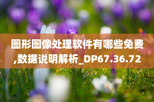 图形图像处理软件有哪些免费,数据说明解析_DP67.36.72