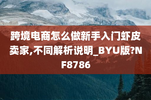 跨境电商怎么做新手入门虾皮卖家,不同解析说明_BYU版?NF8786