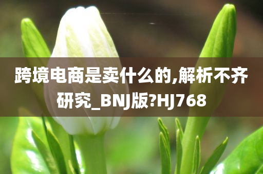 跨境电商是卖什么的,解析不齐研究_BNJ版?HJ768