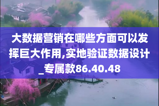 大数据营销在哪些方面可以发挥巨大作用,实地验证数据设计_专属款86.40.48