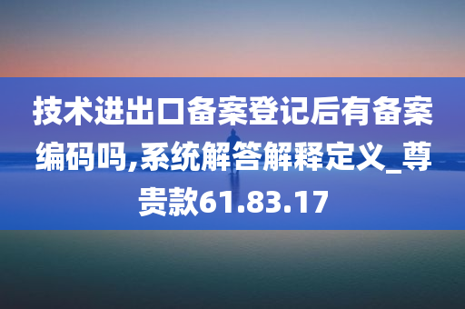 技术进出口备案登记后有备案编码吗,系统解答解释定义_尊贵款61.83.17