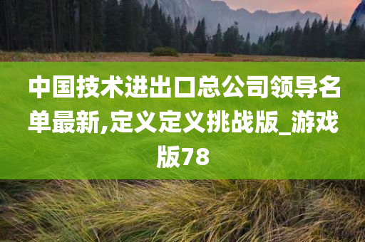 中国技术进出口总公司领导名单最新,定义定义挑战版_游戏版78