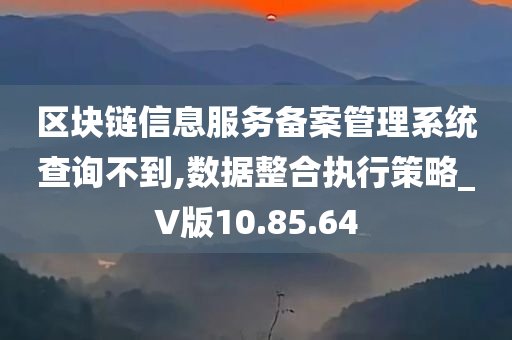 区块链信息服务备案管理系统查询不到,数据整合执行策略_V版10.85.64