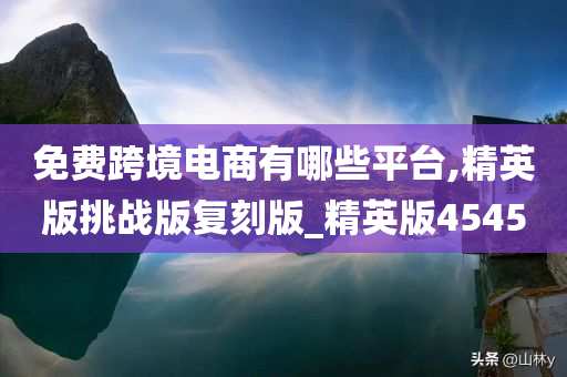 免费跨境电商有哪些平台,精英版挑战版复刻版_精英版4545