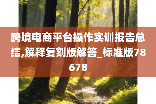 跨境电商平台操作实训报告总结,解释复刻版解答_标准版78678