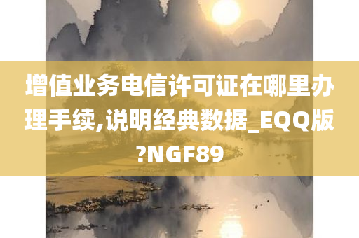 增值业务电信许可证在哪里办理手续,说明经典数据_EQQ版?NGF89