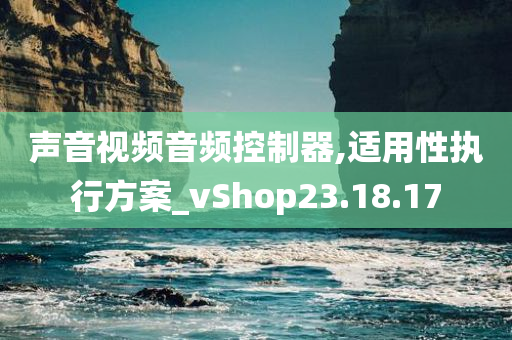 声音视频音频控制器,适用性执行方案_vShop23.18.17