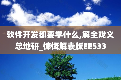 软件开发都要学什么,解全戏义总地研_慷慨解囊版EE533