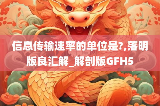 信息传输速率的单位是?,落明版良汇解_解剖版GFH5