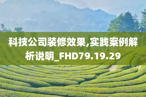 科技公司装修效果,实践案例解析说明_FHD79.19.29