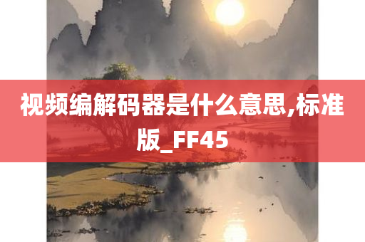 视频编解码器是什么意思,标准版_FF45