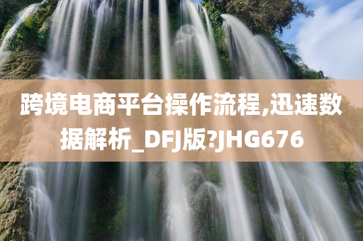 跨境电商平台操作流程,迅速数据解析_DFJ版?JHG676