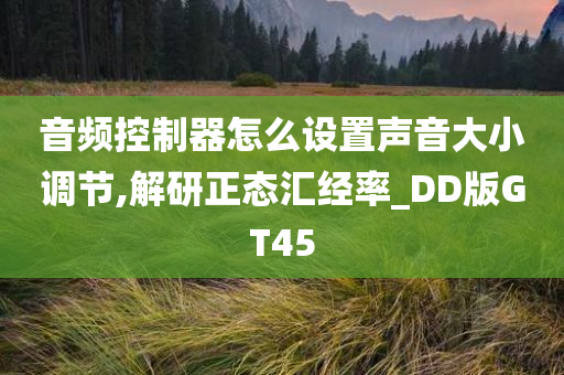 音频控制器怎么设置声音大小调节,解研正态汇经率_DD版GT45