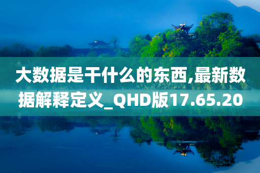 大数据是干什么的东西,最新数据解释定义_QHD版17.65.20