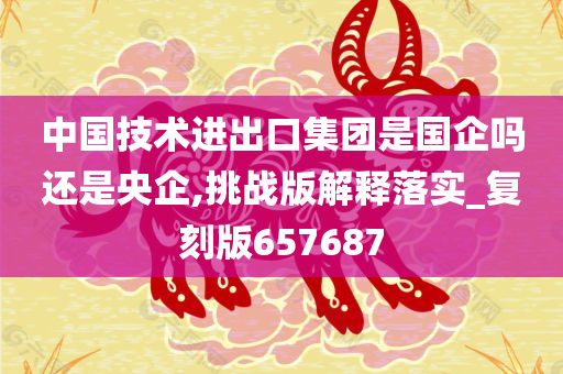 中国技术进出口集团是国企吗还是央企,挑战版解释落实_复刻版657687