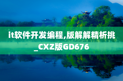 it软件开发编程,版解解精析挑_CXZ版GD676