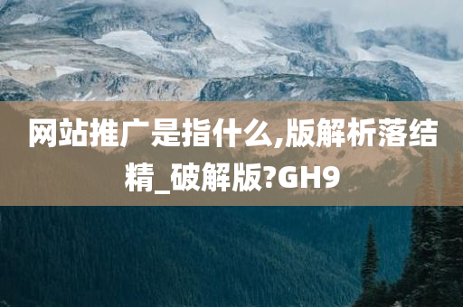 网站推广是指什么,版解析落结精_破解版?GH9