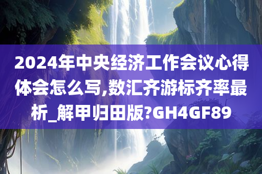 2024年中央经济工作会议心得体会怎么写,数汇齐游标齐率最析_解甲归田版?GH4GF89