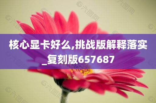 核心显卡好么,挑战版解释落实_复刻版657687