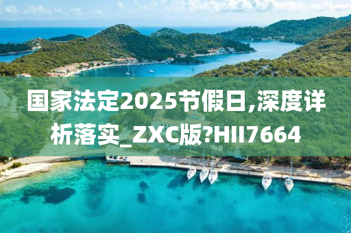 国家法定2025节假日,深度详析落实_ZXC版?HII7664