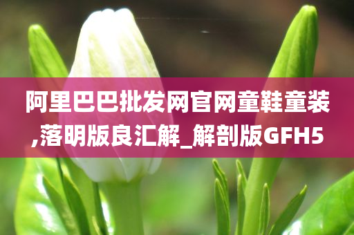 阿里巴巴批发网官网童鞋童装,落明版良汇解_解剖版GFH5