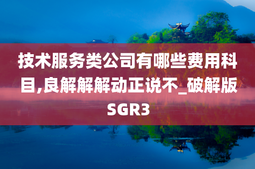 技术服务类公司有哪些费用科目,良解解解动正说不_破解版SGR3