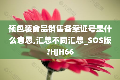 预包装食品销售备案证号是什么意思,汇总不同汇总_SOS版?HJH66