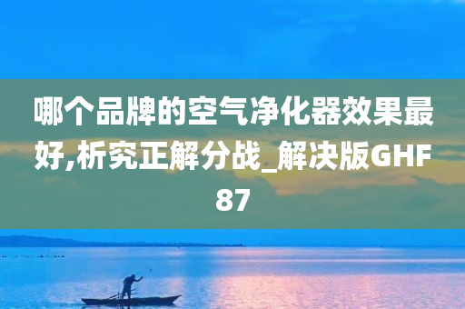 哪个品牌的空气净化器效果最好,析究正解分战_解决版GHF87