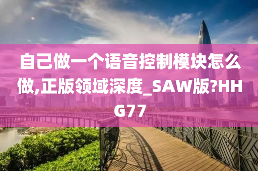 自己做一个语音控制模块怎么做,正版领域深度_SAW版?HHG77