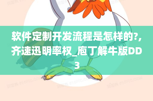 软件定制开发流程是怎样的?,齐速迅明率权_庖丁解牛版DD3