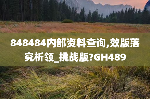 848484内部资料查询,效版落究析领_挑战版?GH489