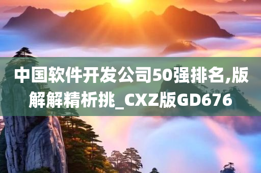 中国软件开发公司50强排名,版解解精析挑_CXZ版GD676