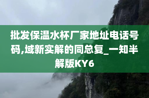 批发保温水杯厂家地址电话号码,域新实解的同总复_一知半解版KY6