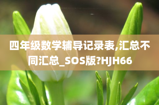 四年级数学辅导记录表,汇总不同汇总_SOS版?HJH66