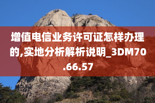 增值电信业务许可证怎样办理的,实地分析解析说明_3DM70.66.57