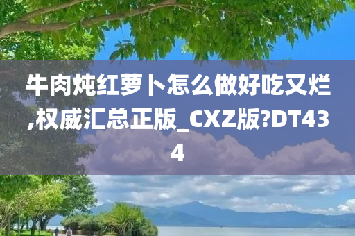 牛肉炖红萝卜怎么做好吃又烂,权威汇总正版_CXZ版?DT434