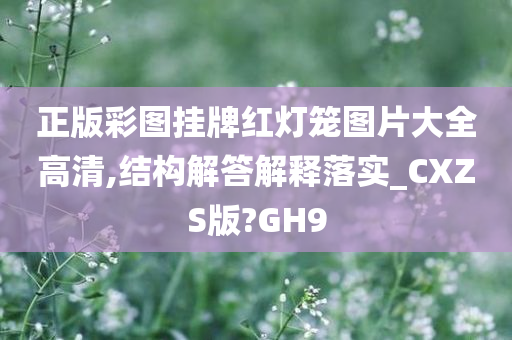 正版彩图挂牌红灯笼图片大全高清,结构解答解释落实_CXZS版?GH9