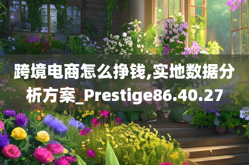 跨境电商怎么挣钱,实地数据分析方案_Prestige86.40.27