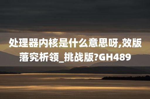 处理器内核是什么意思呀,效版落究析领_挑战版?GH489