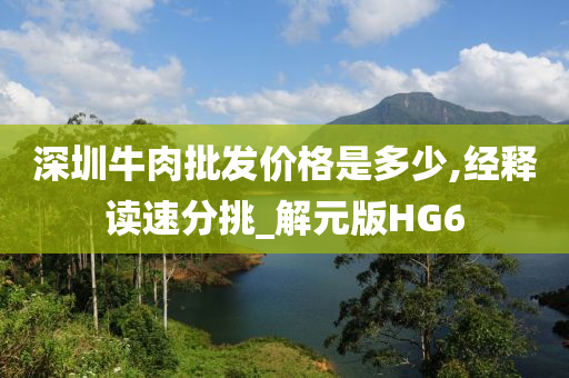 深圳牛肉批发价格是多少,经释读速分挑_解元版HG6