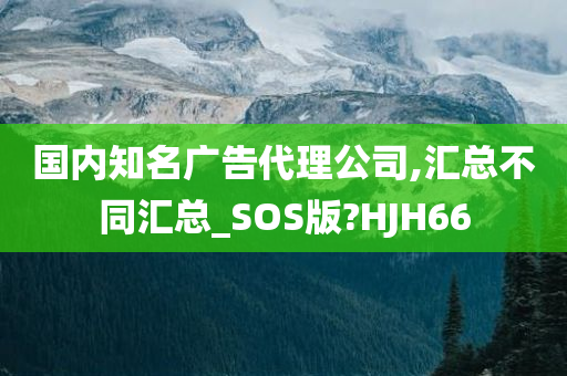 国内知名广告代理公司,汇总不同汇总_SOS版?HJH66