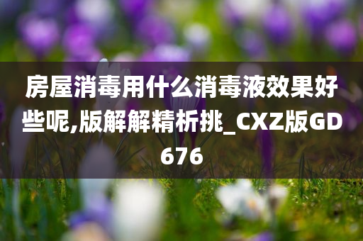 房屋消毒用什么消毒液效果好些呢,版解解精析挑_CXZ版GD676