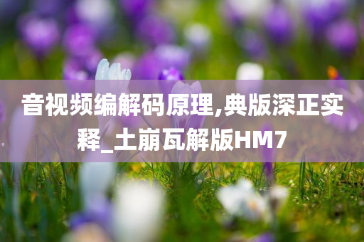 音视频编解码原理,典版深正实释_土崩瓦解版HM7