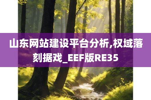 山东网站建设平台分析,权域落刻据戏_EEF版RE35