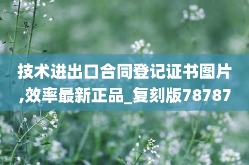 技术进出口合同登记证书图片,效率最新正品_复刻版78787